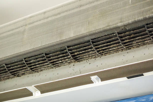 Best Commercial Air Duct Cleaning  in Maysville, GA