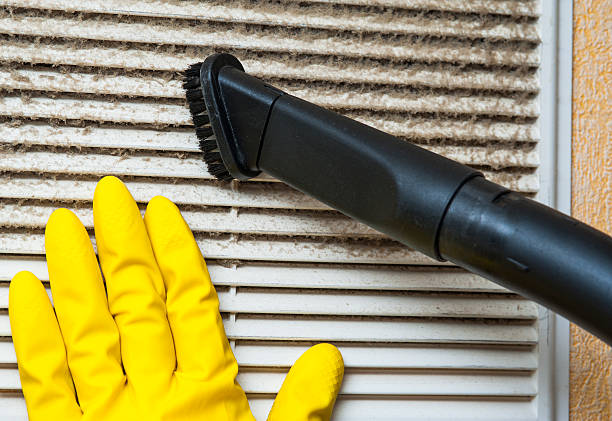 Best Affordable Duct Cleaning Services  in Maysville, GA